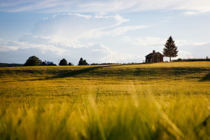 Concedere o alienare terreni demaniali di natura civica